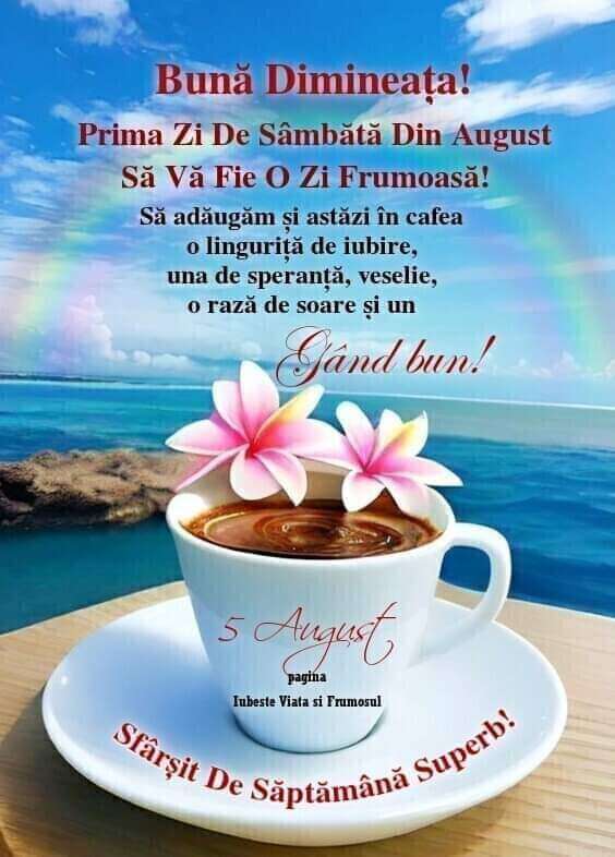 539b2573-f6a8-4fa8-98ac-2bfb6410abe3