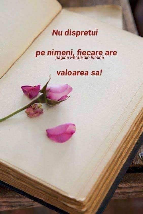 c83b2c47-e24c-4668-82f7-0285fc023720