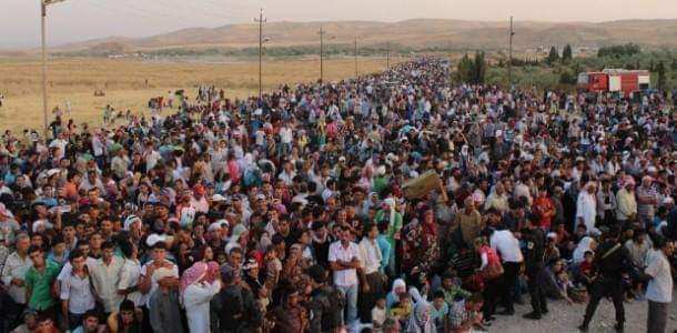 9fc2b818-de68-464f-8640-b1f51a9553a3