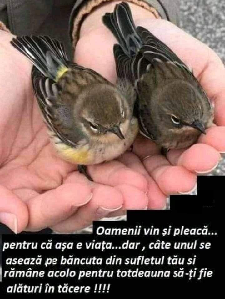 d7b8b250-6c21-4eb8-96c3-bea236a55520