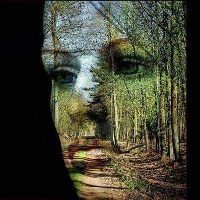 c34b7f30-d386-43a0-95a6-a3b584d45009