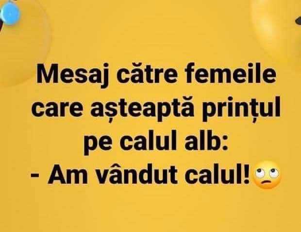 77449137-3cf9-4784-9cbd-eaac3a478b0d