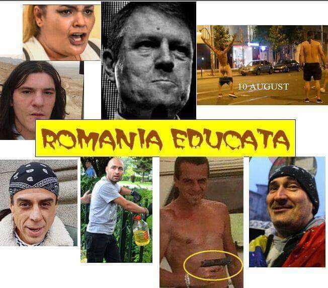 798b1cbe-037c-4b3c-a940-59e6aab4fbcc