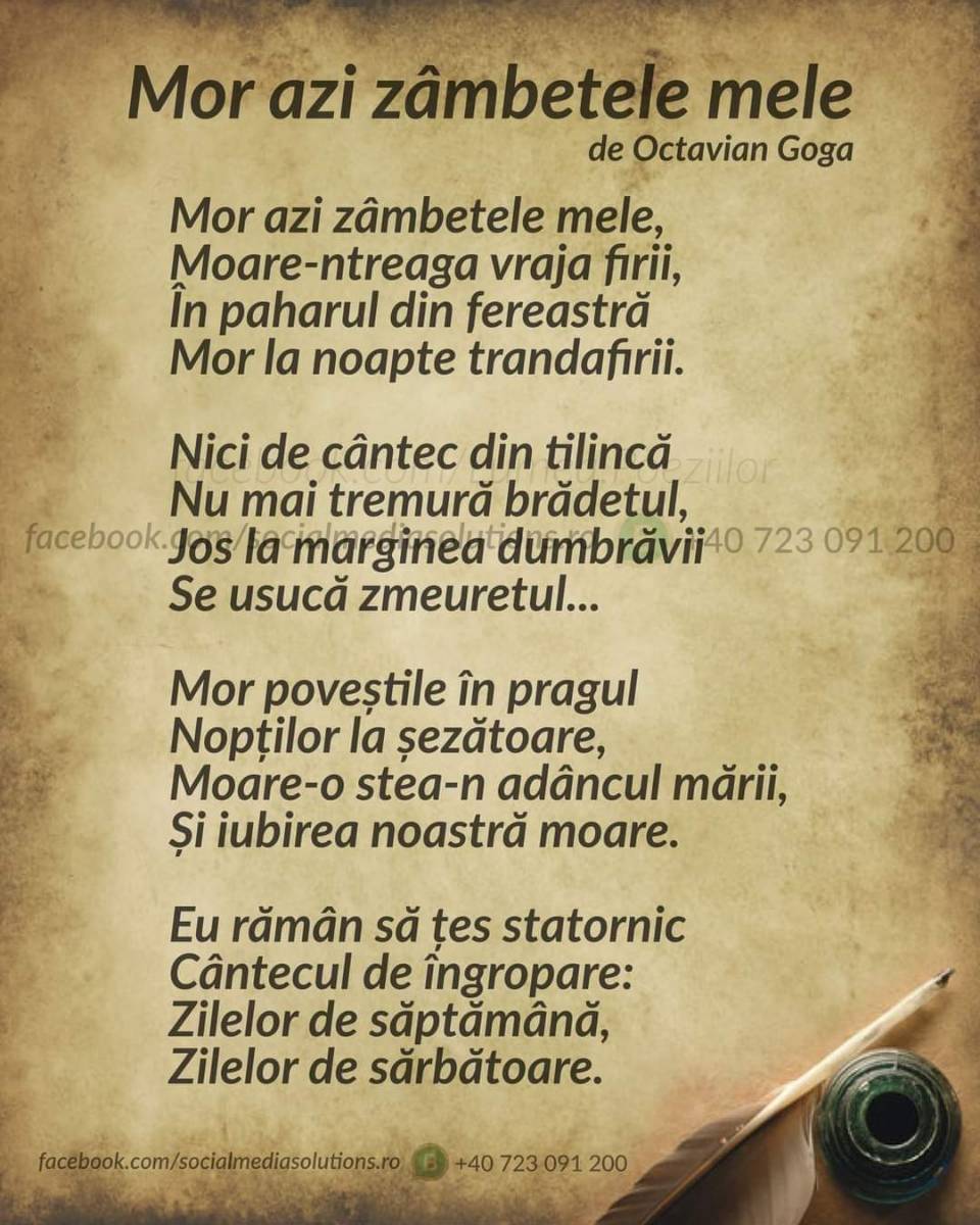 896355ef-8274-4d97-90ce-b3c54fa9aae3