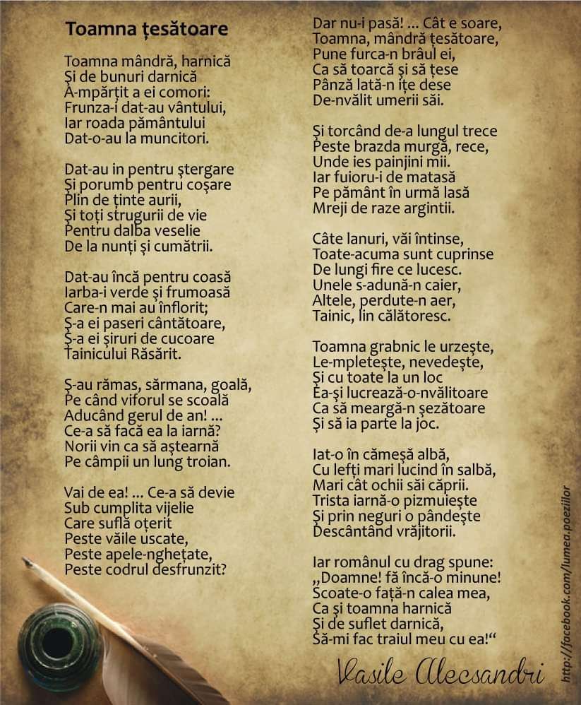 27989864-b2c3-4ff3-aeb1-4ecbbd6800eb