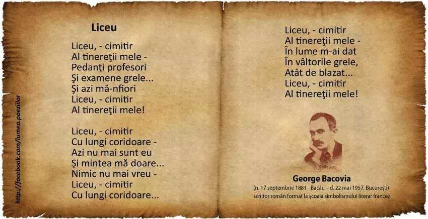 c6678e5a-272e-4665-855d-25e9e6ee6180