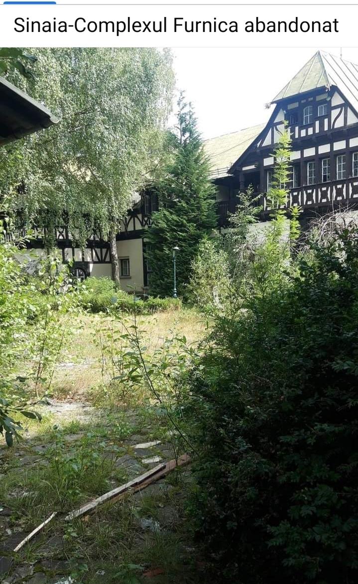 7d5d533a-3234-49a9-8979-7fe05c2f2298