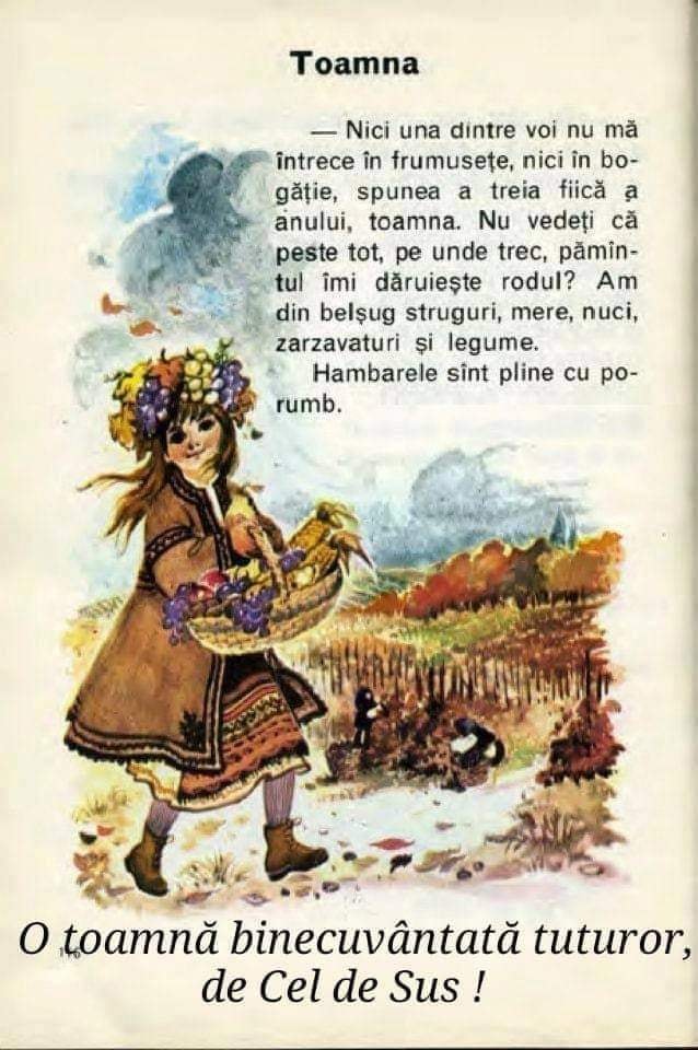 371895029_658464659758227_2910959260799578094_n