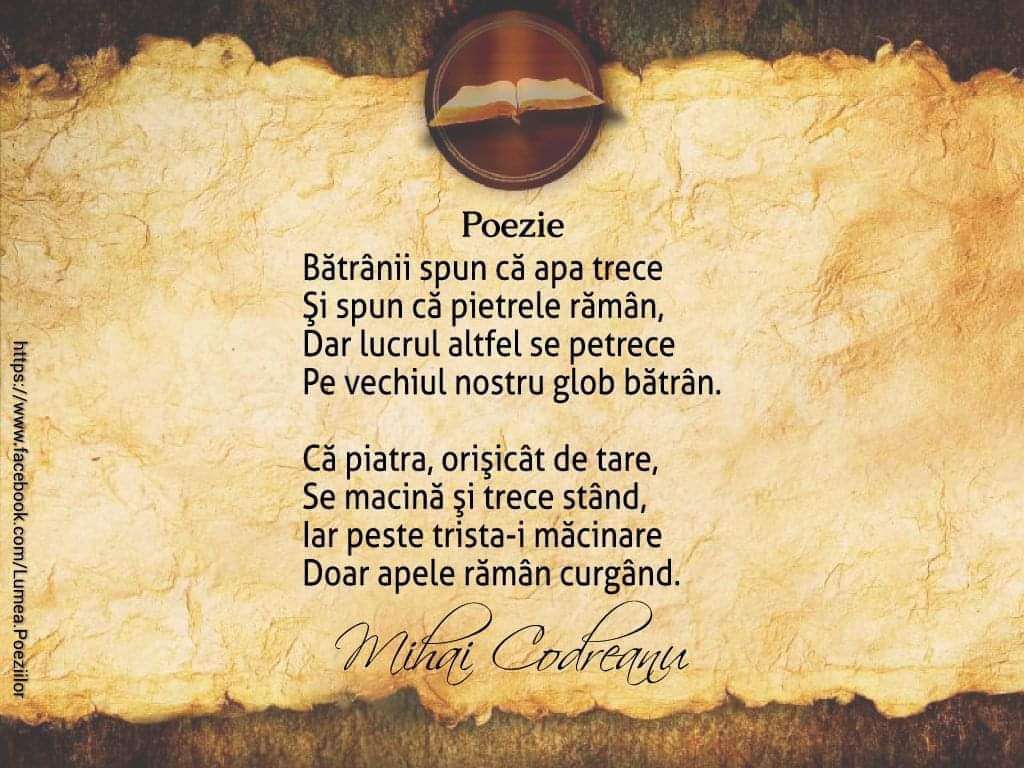 f9a5092f-14f6-40ed-a5dc-f845e8682037