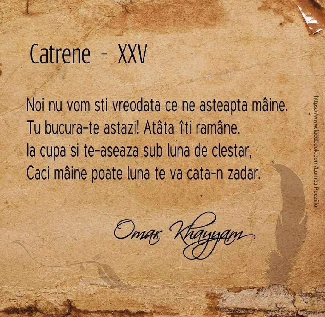 8f02574c-d2ff-4506-af10-dd45812545e1