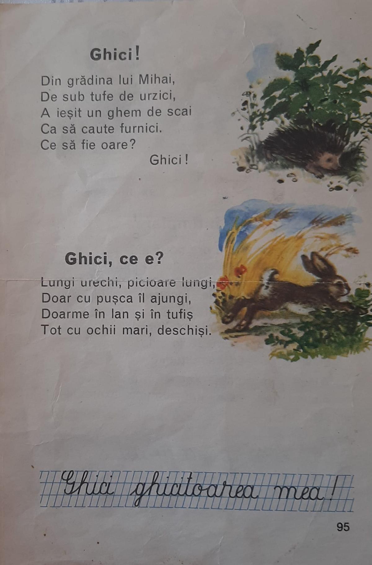 375283219_2617498065064249_3255507521465147799_n