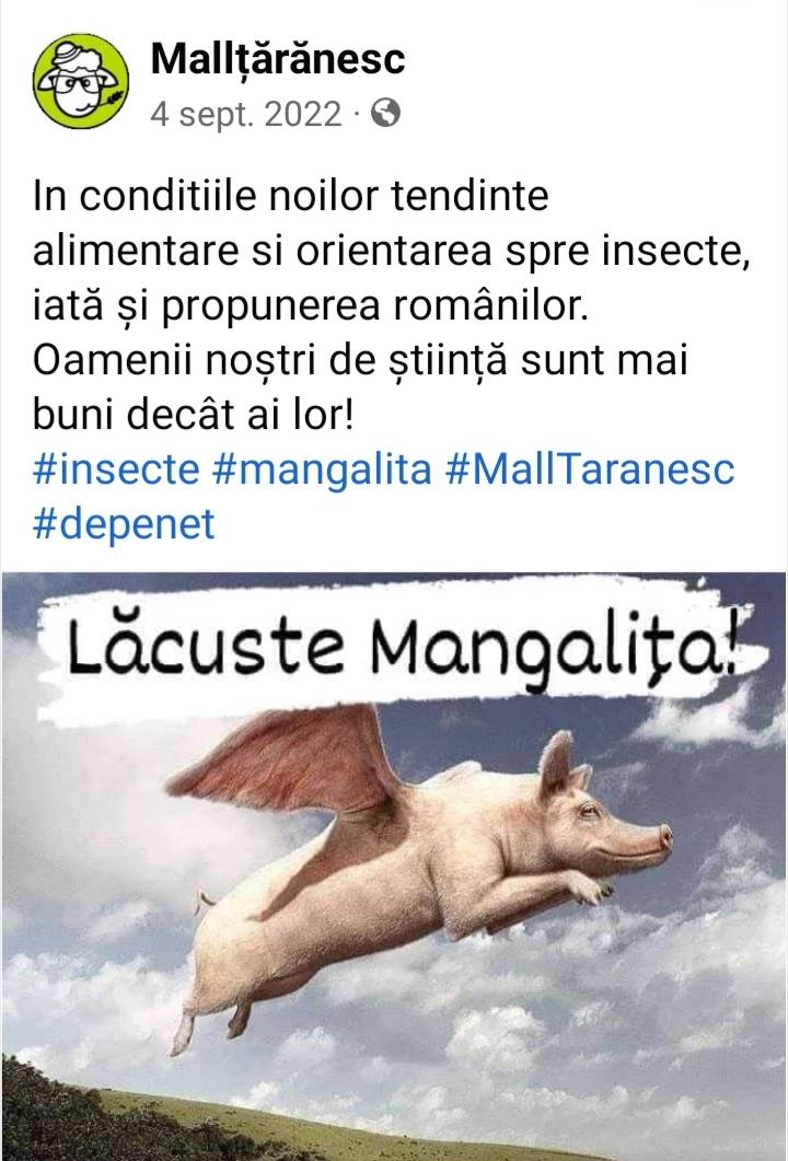 a2615b21-9247-4e71-b891-86573a23c916