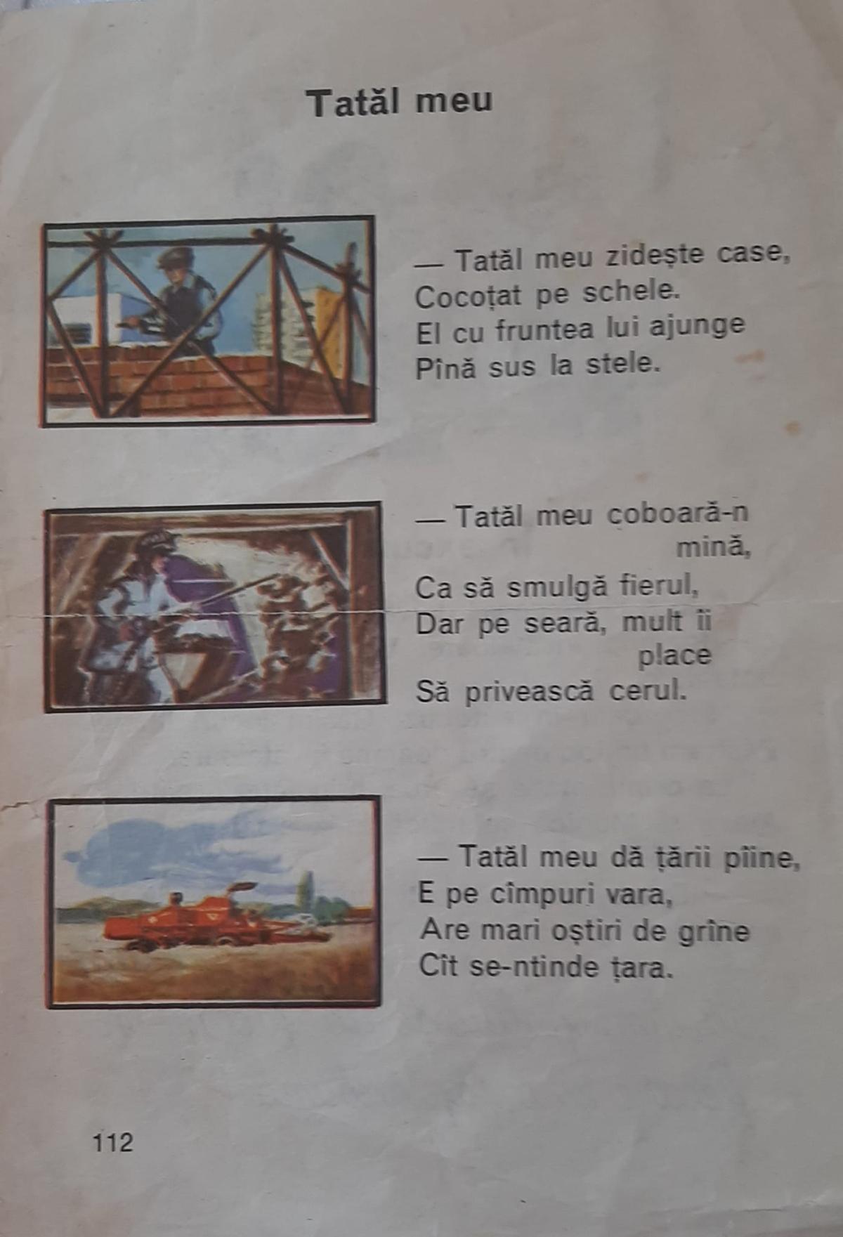 375806498_2617498111730911_2944036224251679326_n