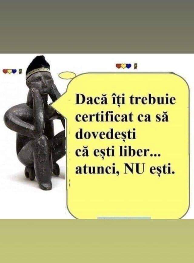 FB_IMG_1694688087965