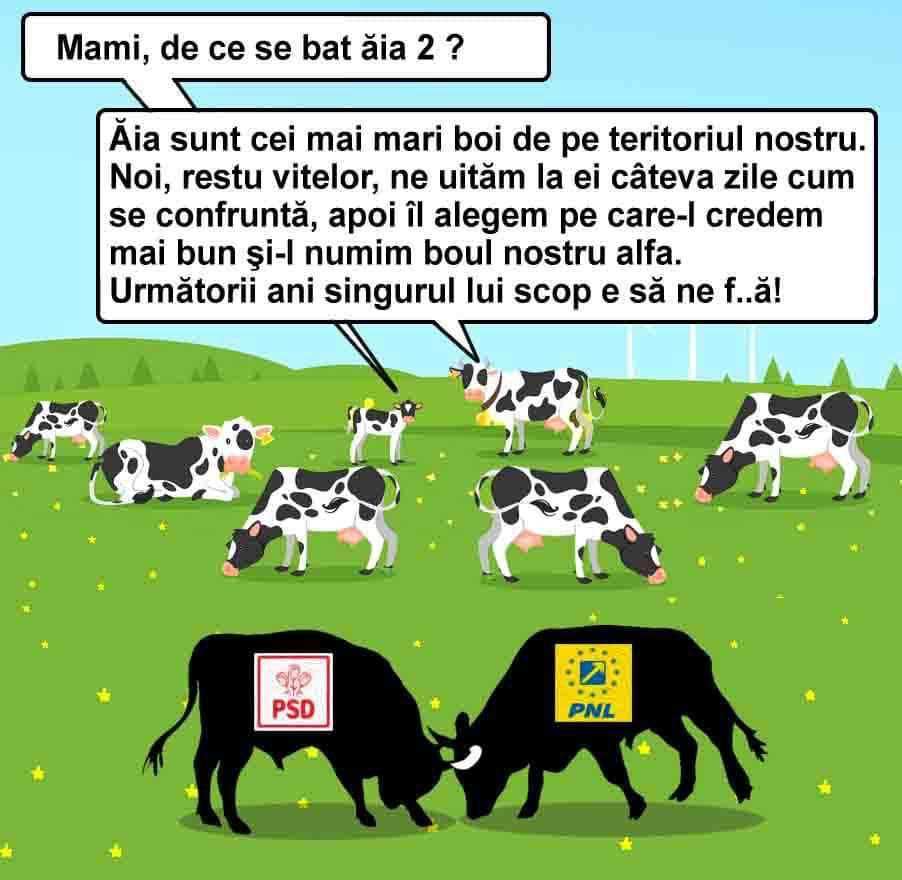 5ee3c154-57cf-4f96-bc1b-ccec42a24c9d