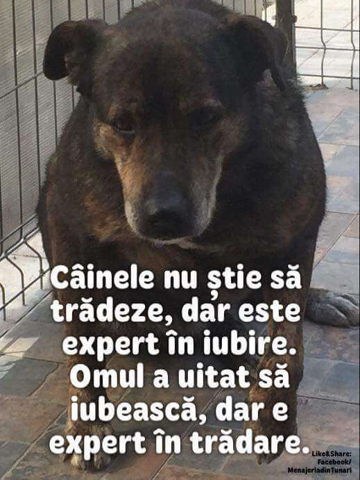 fbd97a2b-796c-443e-b407-17b08cf97c6d