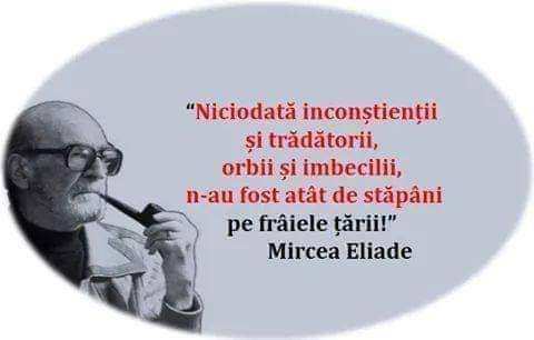 77909edd-28e1-4dd2-bc8f-d6d0839321b9