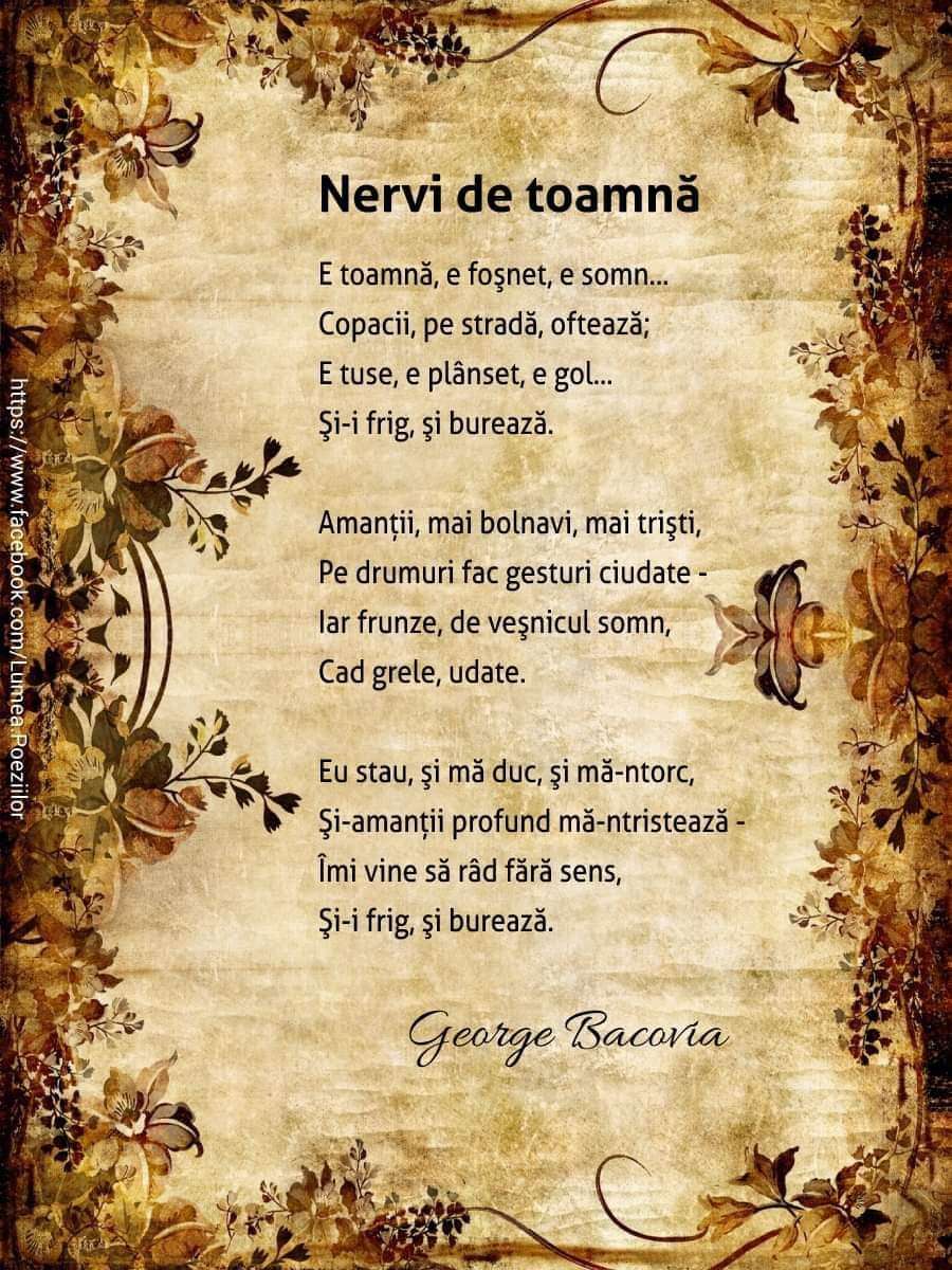 dac7ac1a-3335-44dc-ab86-5c00227cbe55