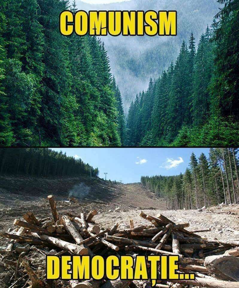 19bf760e-c0f6-40cf-8487-2625eb389c13