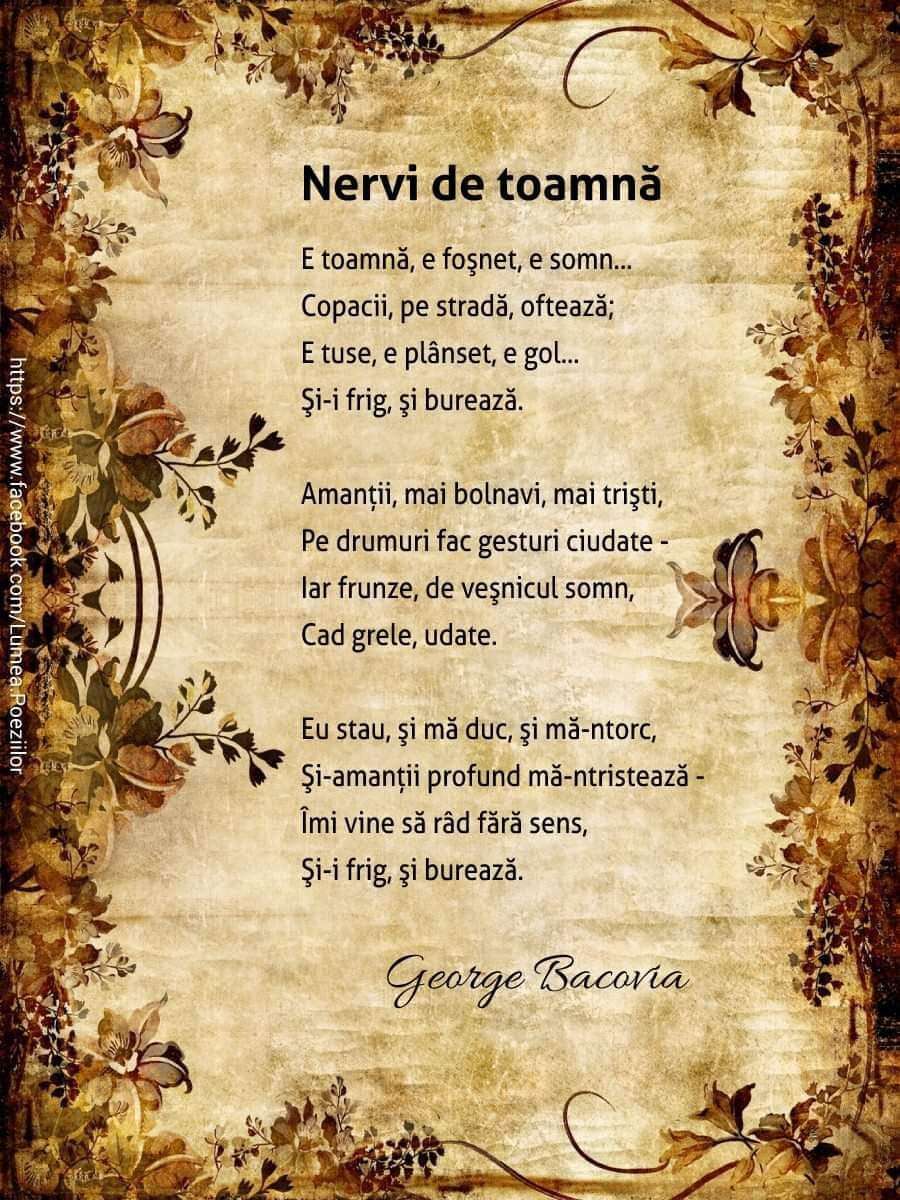 ff371f0f-628b-463a-9bb3-d2bfd46bf4a0