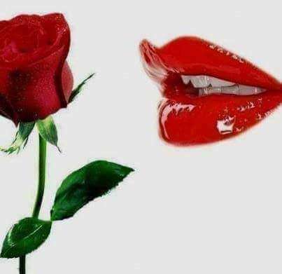 d9fa2c5c-38b2-4431-afe5-84019de5b609