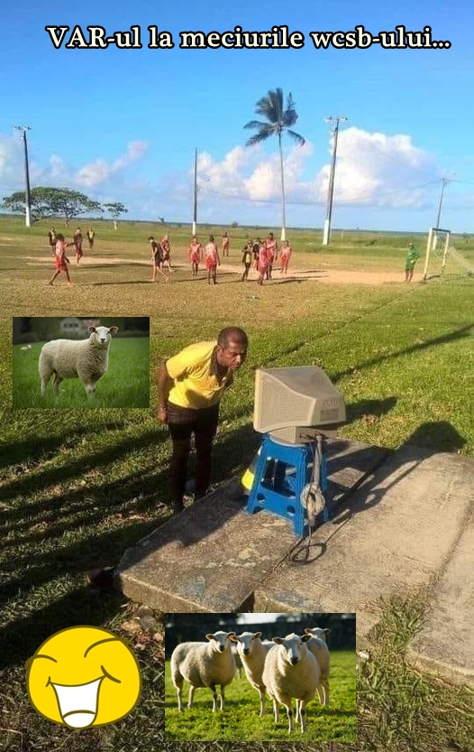 Fotografie