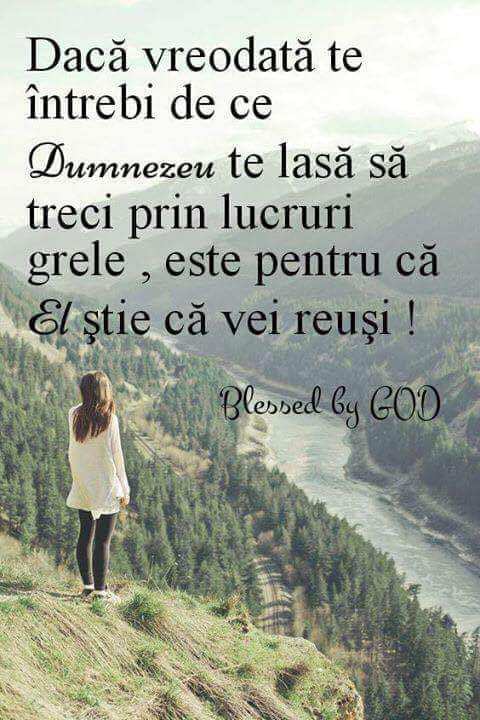 51b2001f-db08-4bd2-8322-d93aea1f2846