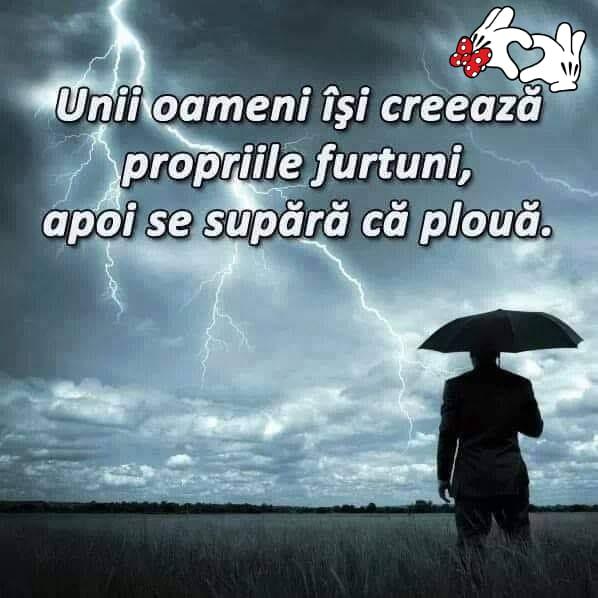 54f51e34-c1f1-41e1-bafb-ea29d056e07d