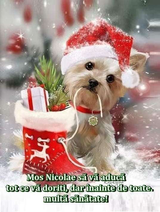 afe0e221-eb28-48e9-922b-4fc66c8921cd