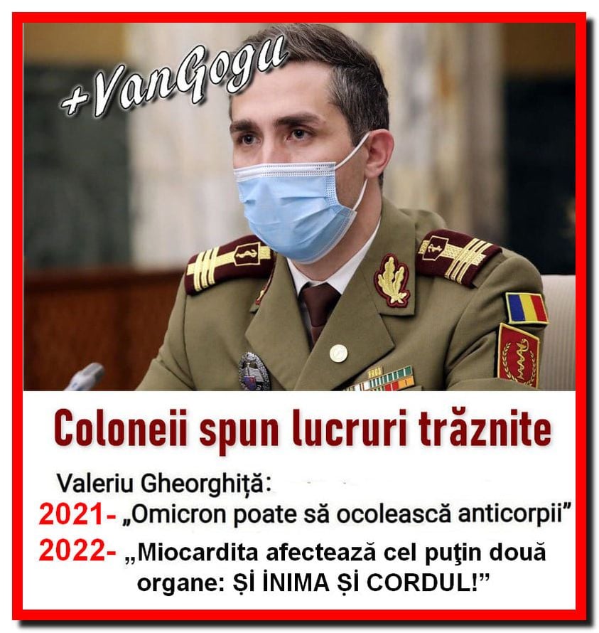 271424948_422191379602905_1868096542898716670_n