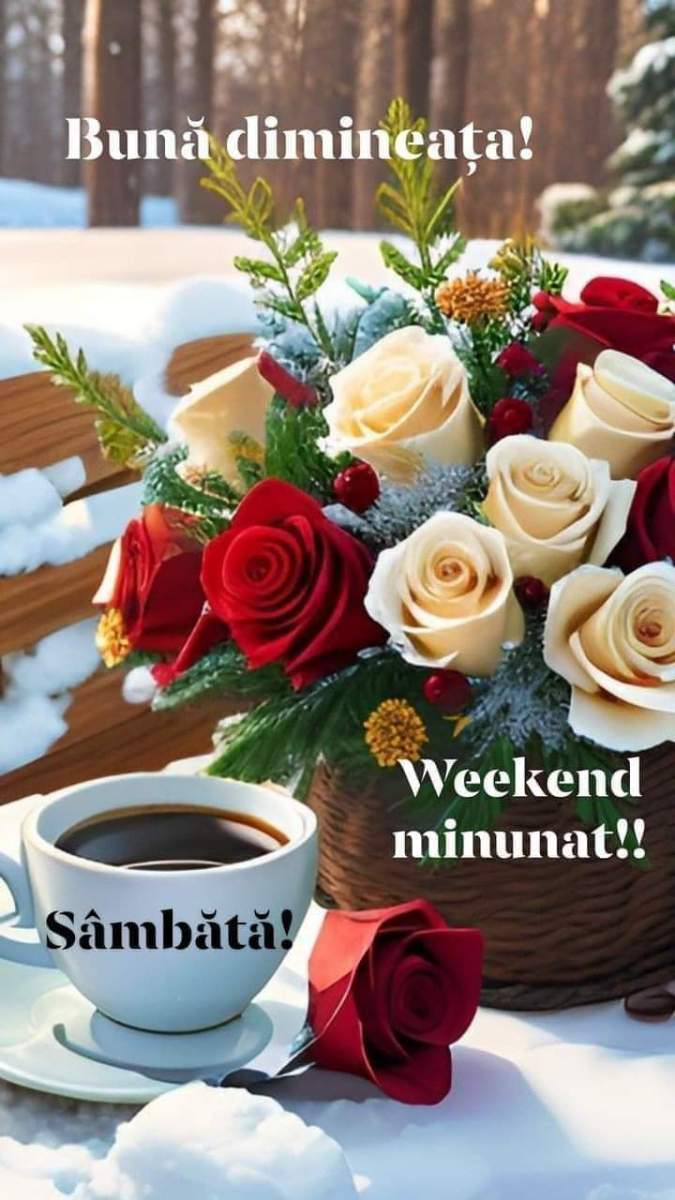 5abfdc47-b0dd-4f00-840a-a0c714bbcf2d