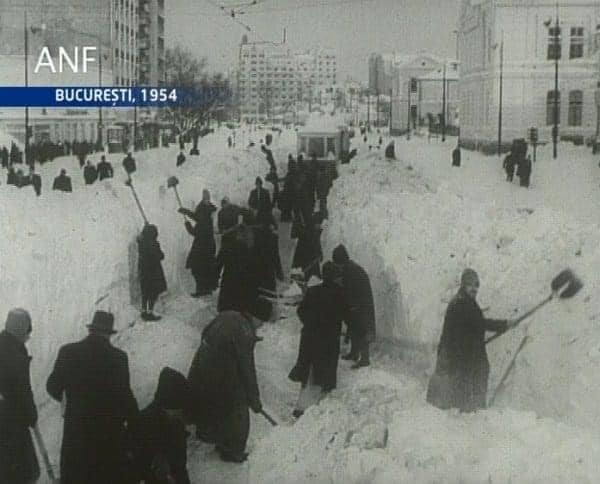 420050911_773066988197301_7816375137049997732_n