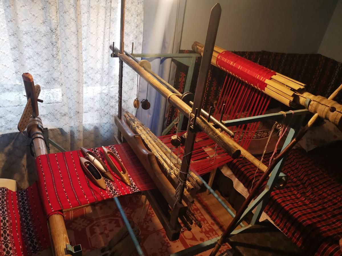 328260162_1238941436695918_231530029998001156_n