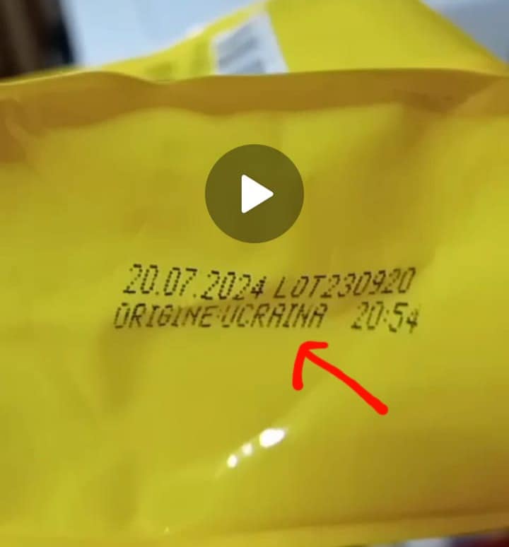 419733916_2704474656366589_6363747598113056327_n