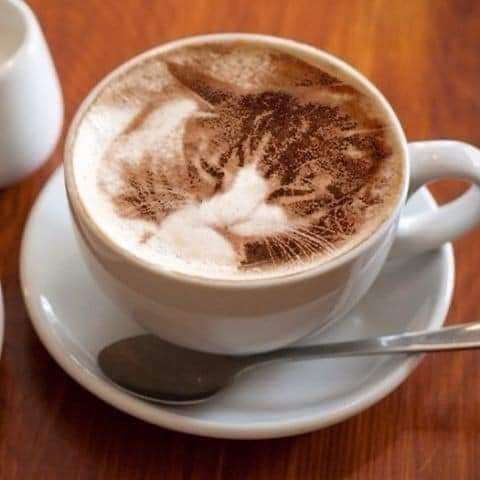 0eaec6c8-672c-40ec-a74c-71f6a97182e4