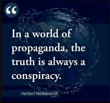 323425106_551500377021151_3584435828143607307_n