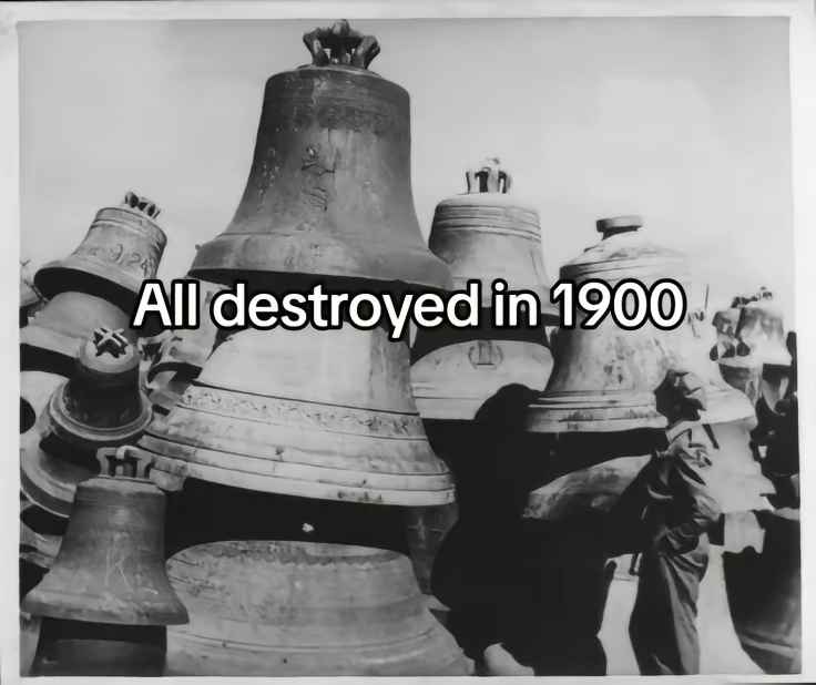 6e75b079-c473-4e47-87e2-c00349925e77