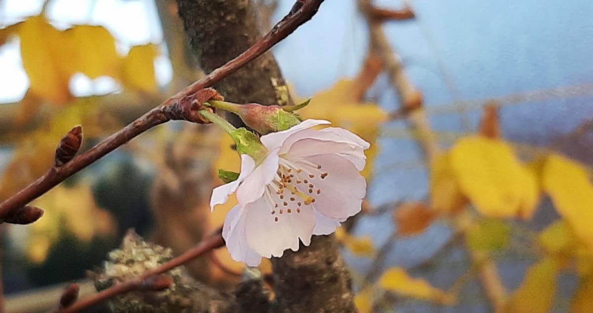 32d0131e-ca42-4cdd-80b4-db3102c2bc4a