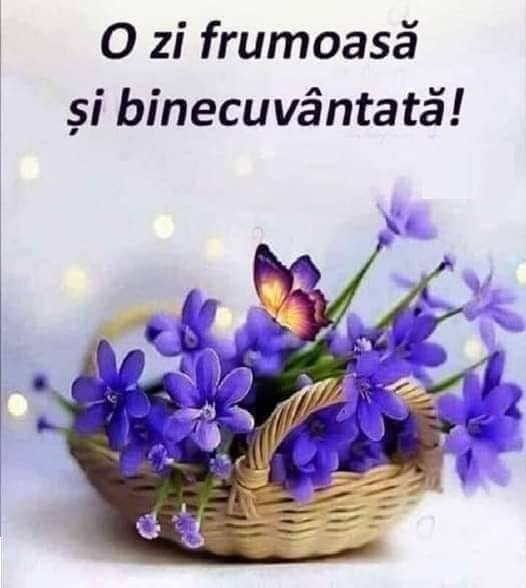 fe508886-435e-4d28-84ca-d29d2d289790