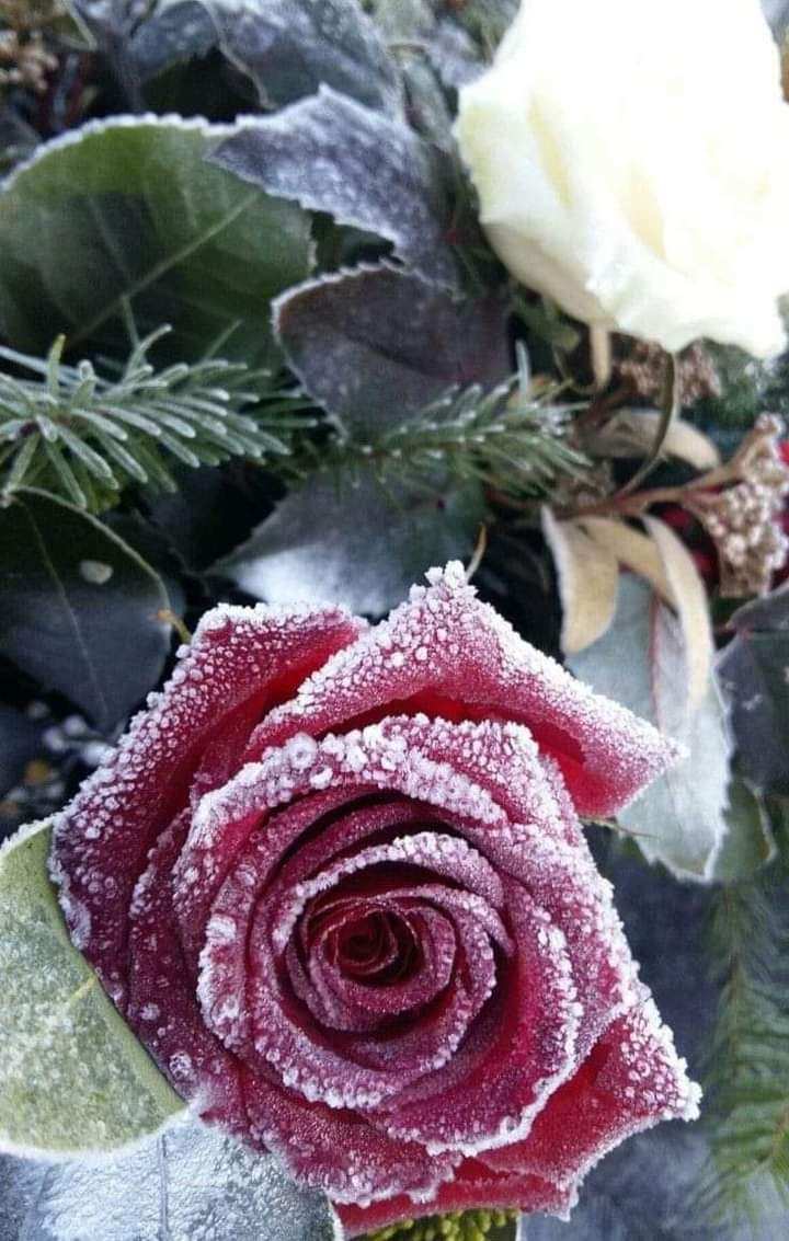 a31c863b-caf9-4610-996b-756582d4ad23