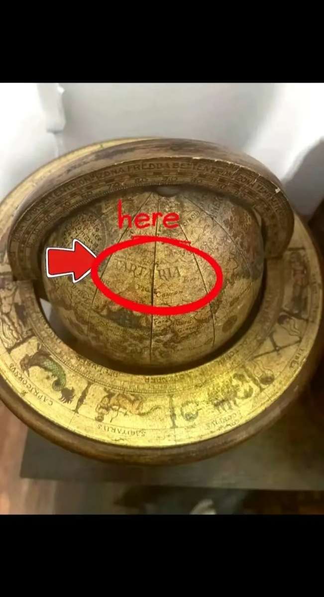 00dacd62-c2bf-4cb4-ae06-be20cc00a442