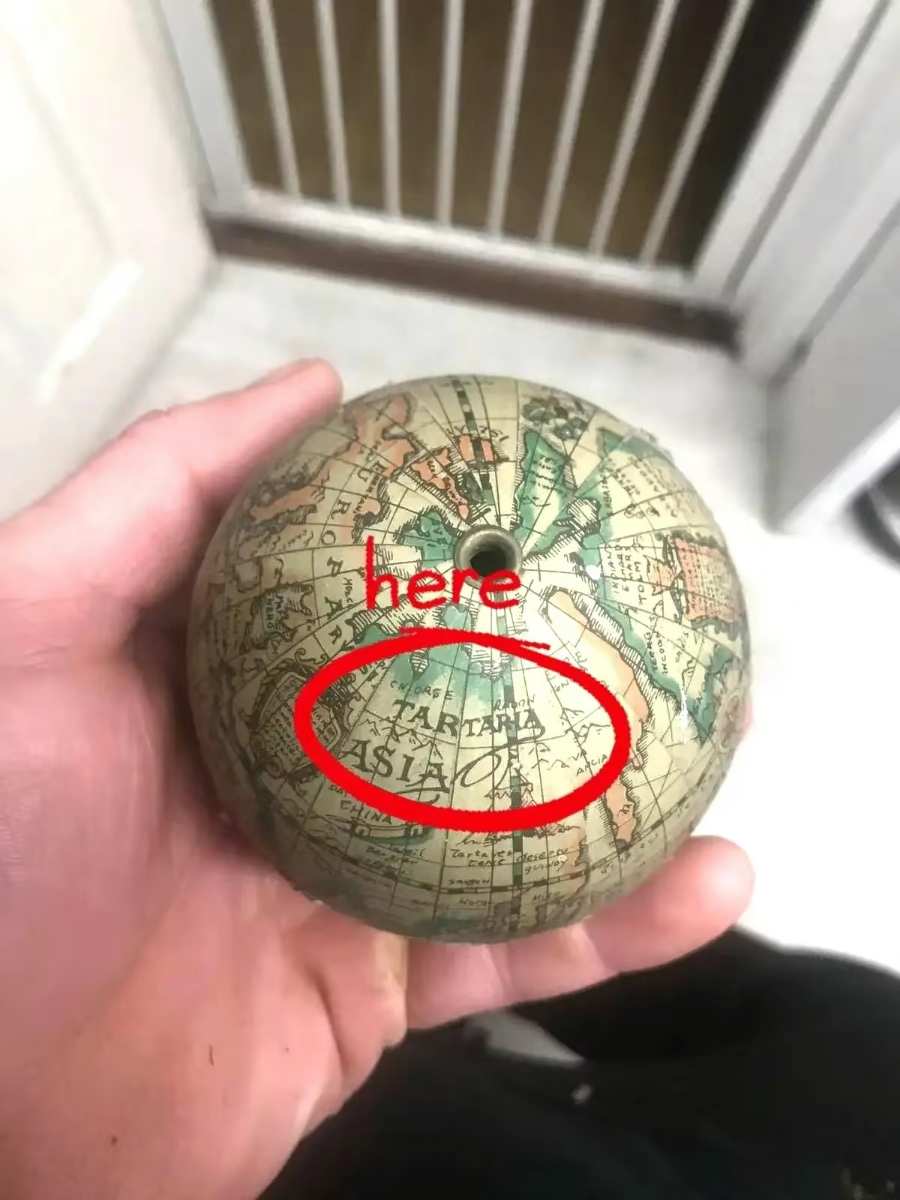 02d0439d-d14f-43ee-abb8-58968610092b