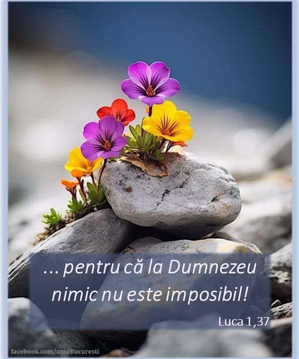 c9731779-29ce-41eb-a9ef-9827d05c86ab