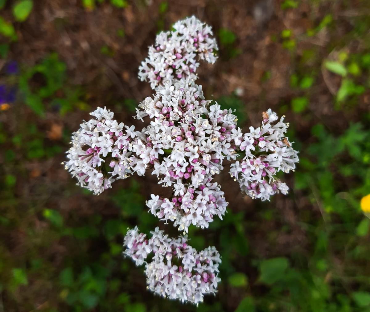 19c7e08e-ef0c-48ce-ac3f-44ae2ccc3dae