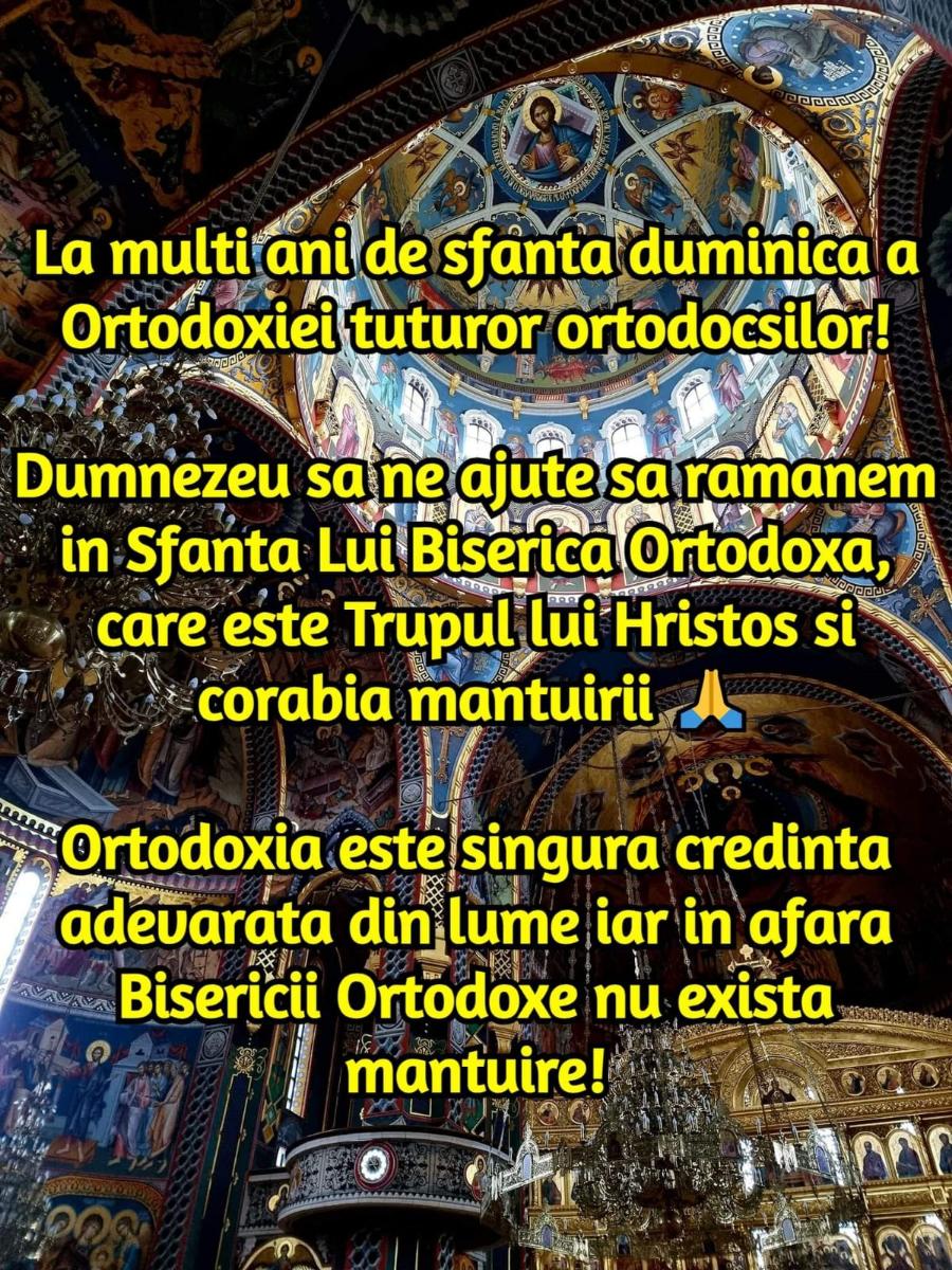 8c819a97-1702-4570-87a5-8da54e164158