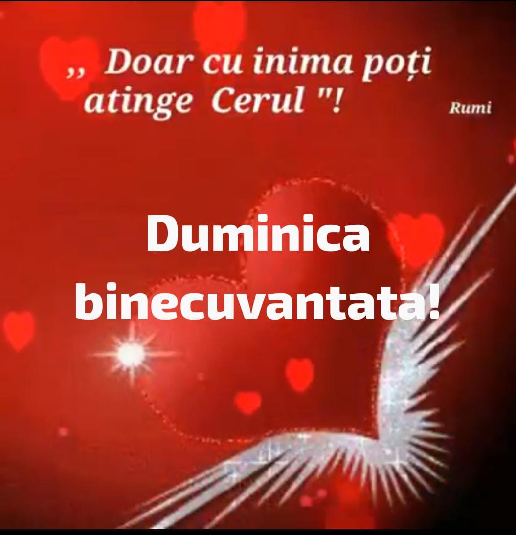 490cc128-7c34-4d7e-b250-87b21cc6d6a7