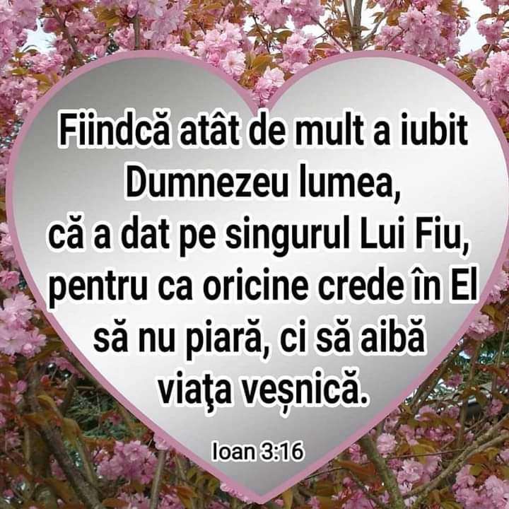 f79d5462-ec30-4c2e-868d-63b81f24f10f