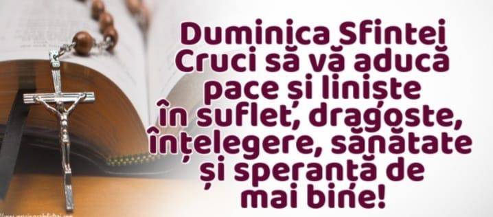 d3139d14-ea2c-4a08-a12c-b17cd47e20f8