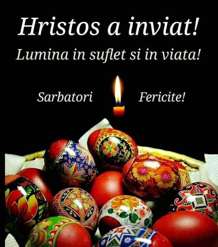 bb7a2877-25ba-4ed5-99ac-e2db23b59e8a