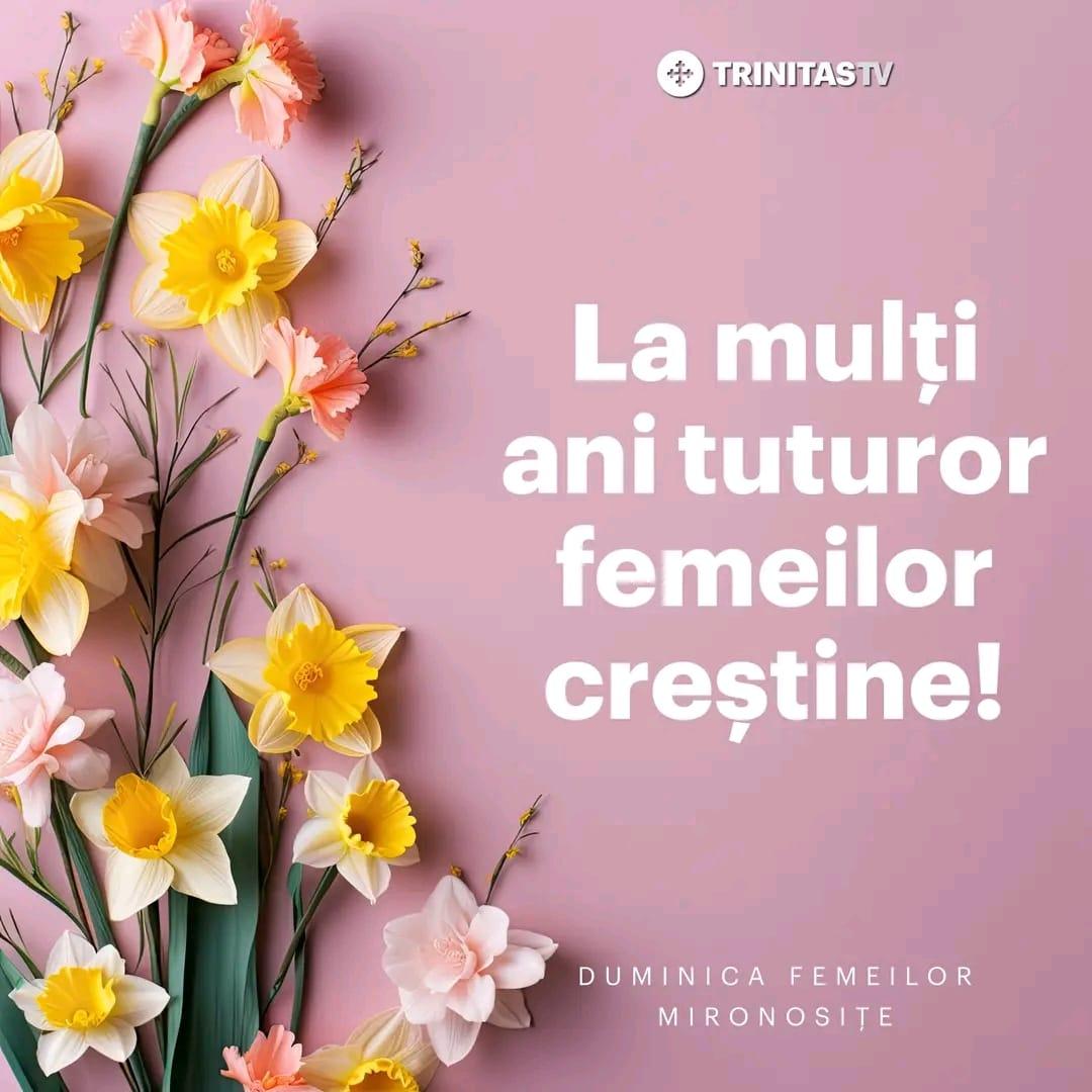 874e8323-c00e-4ac3-b2ff-0dac20038e70